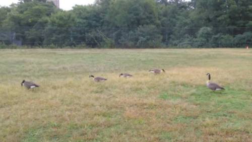 14495455_10207980507495026_6467751498154238922_n